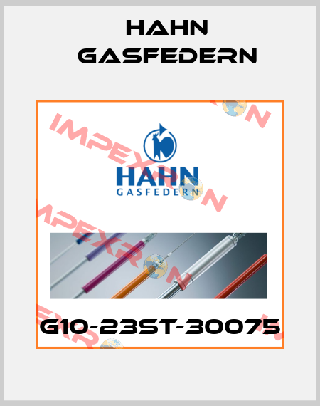 G10-23ST-30075 Hahn Gasfedern