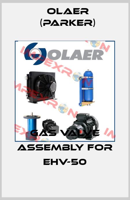 Gas valve assembly for EHV-50 Olaer (Parker)