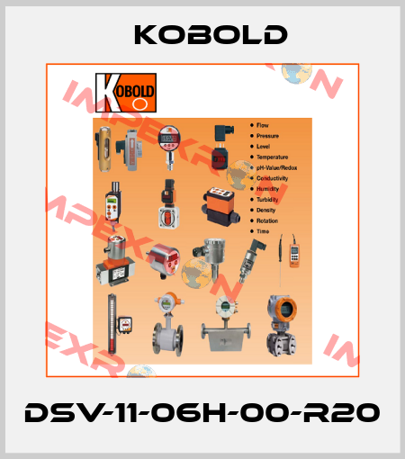 DSV-11-06H-00-R20 Kobold