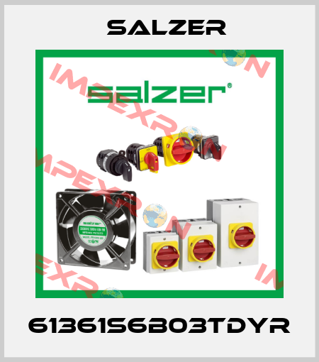 61361S6B03TDYR Salzer