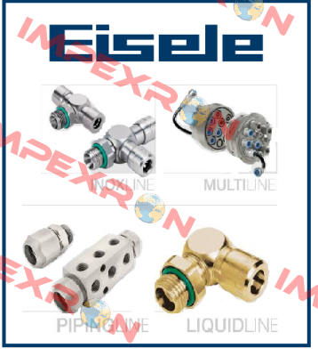 174-0813 Eisele