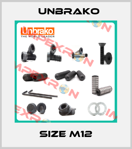 size M12 Unbrako