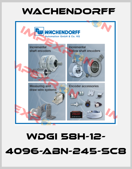 WDGI 58H-12- 4096-ABN-245-SC8 Wachendorff