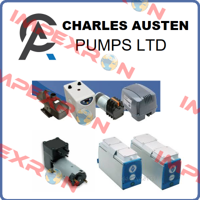 X54-417 Charles Austen Pumps