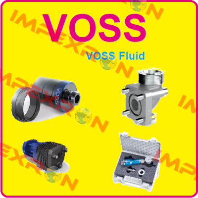 0019102100 Voss