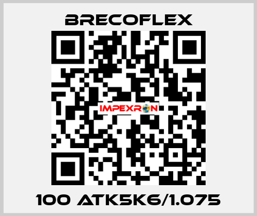 100 ATK5K6/1.075 Brecoflex