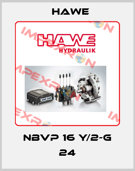 NBVP 16 Y/2-G 24 Hawe