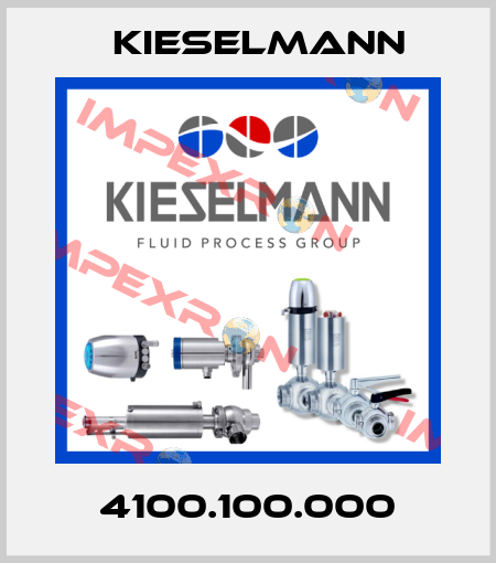 4100.100.000 Kieselmann