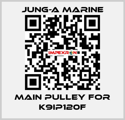 main pulley for K9IP120F JUNG-A MARINE