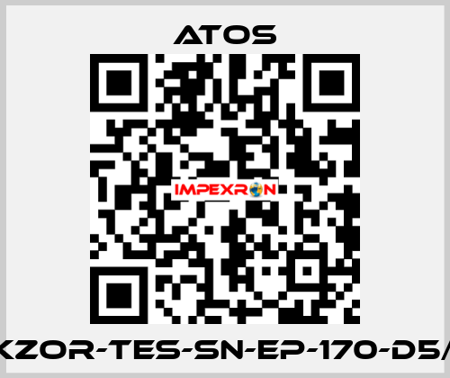 DKZOR-TES-SN-EP-170-D5/FI Atos