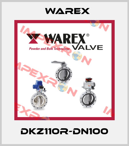 DKZ110R-DN100 Warex