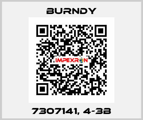 7307141, 4-3B Burndy