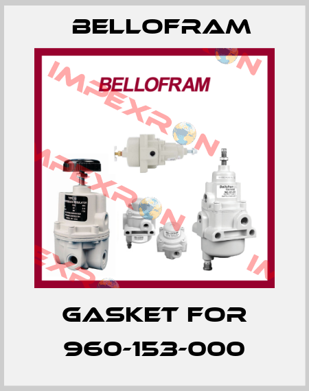 gasket for 960-153-000 Bellofram