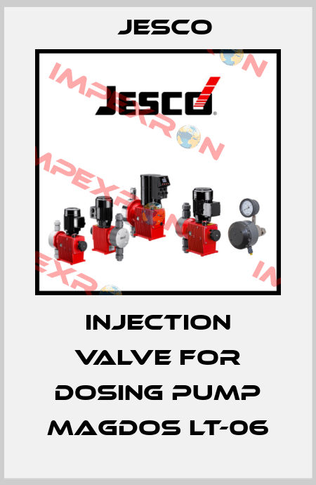 Injection valve for dosing pump Magdos LT-06 Jesco