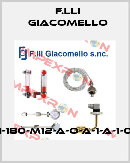 LV/E1-180-M12-A-O-A-1-A-1-0-0-A F.lli Giacomello
