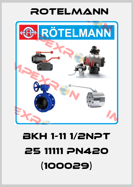 BKH 1-11 1/2NPT 25 11111 PN420 (100029) Rotelmann