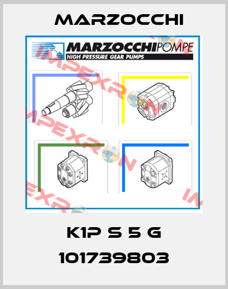 K1P S 5 G 101739803 Marzocchi