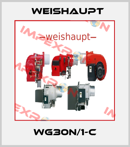 WG30N/1-C Weishaupt