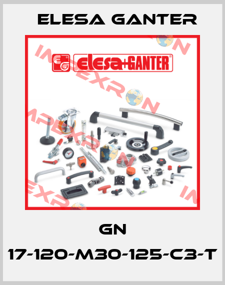 GN 17-120-M30-125-C3-T Elesa Ganter