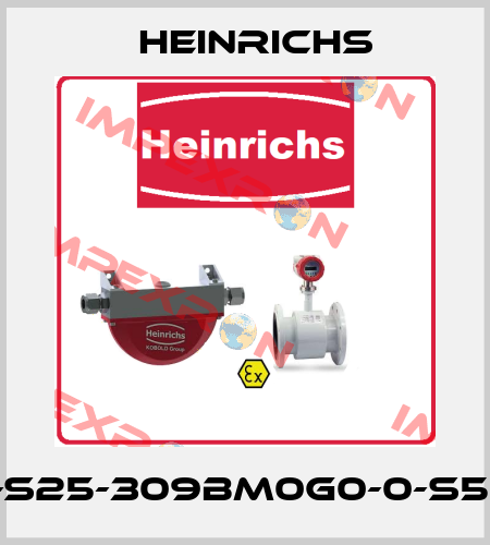 BGN-S25-309BM0G0-0-S51-0-K Heinrichs