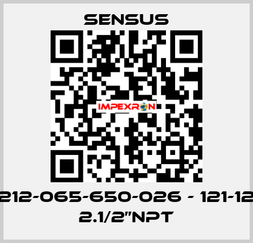 212-065-650-026 - 121-12 2.1/2”NPT Sensus