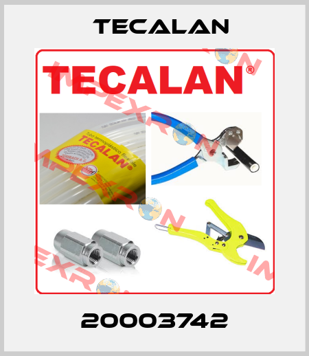 20003742 Tecalan