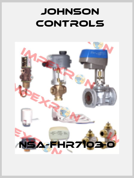 NSA-FHR7103-0 Johnson Controls