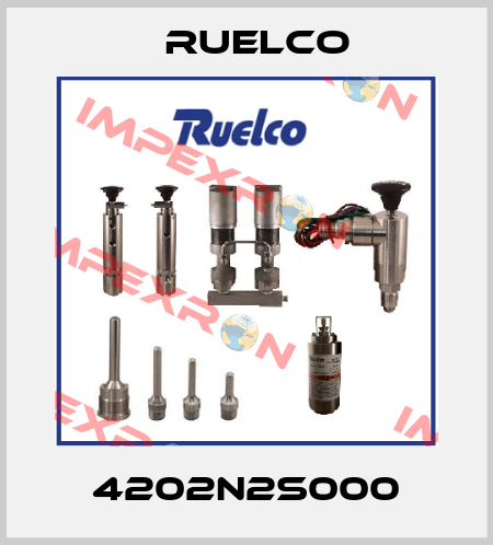 4202N2S000 Ruelco