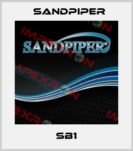 SB1 Sandpiper