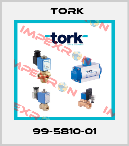 99-5810-01 Tork