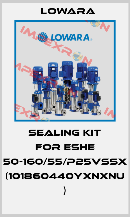 sealing kit for ESHE 50-160/55/P25VSSX (101860440YXNXNU ) Lowara