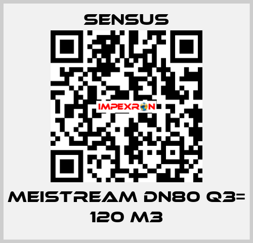 Meistream DN80 Q3= 120 m3 Sensus