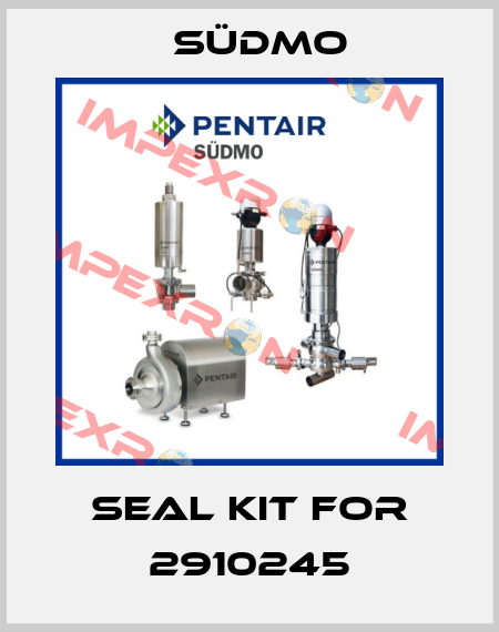 Seal kit for 2910245 Südmo