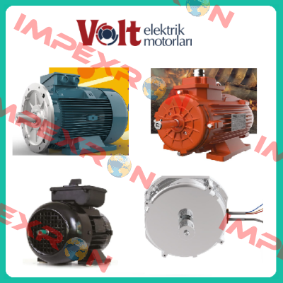 V3 EA 100L 4HB3YY Volt Elektrik Motor