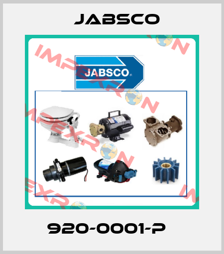 920-0001-P   Jabsco