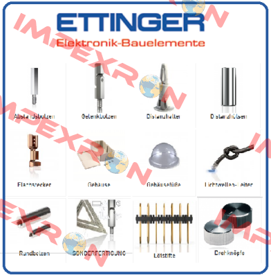 005.04.259 Ettinger