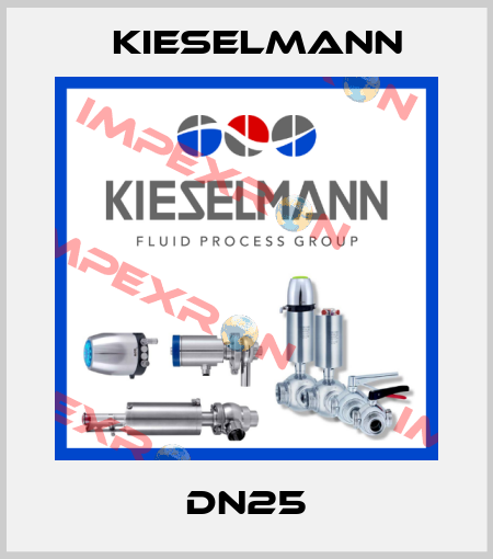 DN25 Kieselmann