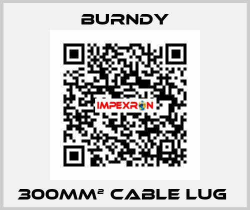 300mm² cable lug  Burndy