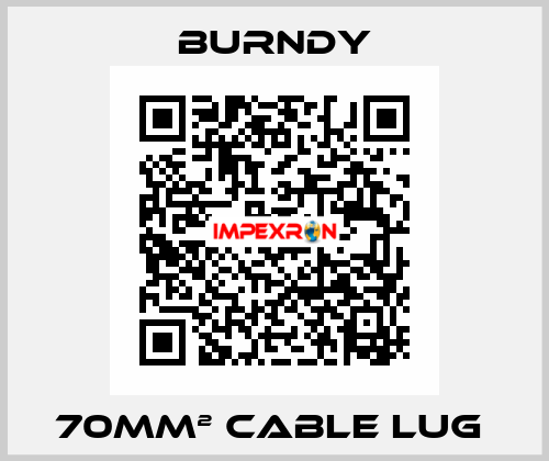 70mm² cable lug  Burndy