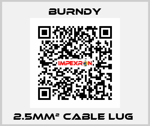 2.5mm² cable lug  Burndy