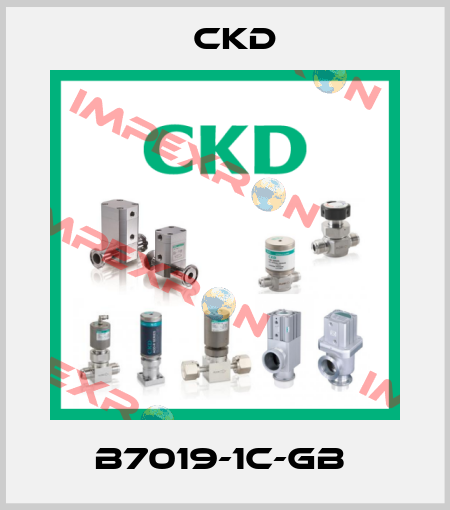 B7019-1C-GB  Ckd