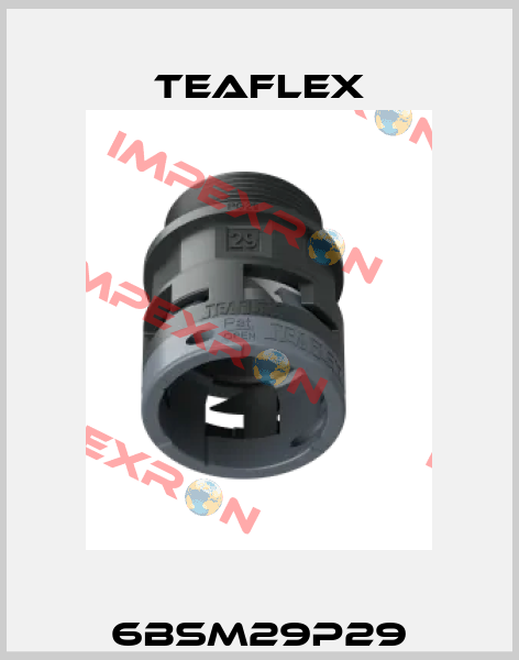 6BSM29P29 Teaflex