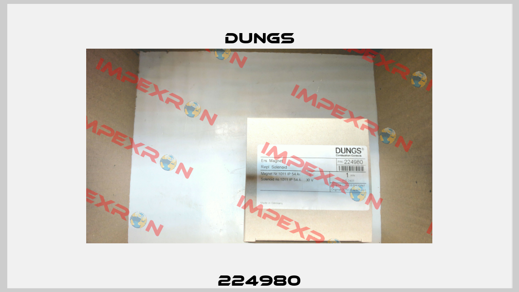 224980 Dungs