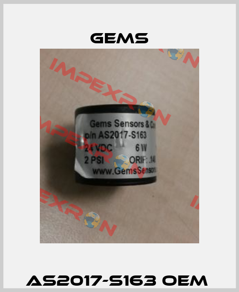AS2017-S163 OEM  Gems