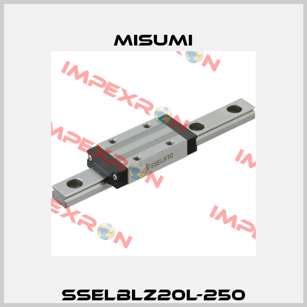 SSELBLZ20L-250 Misumi