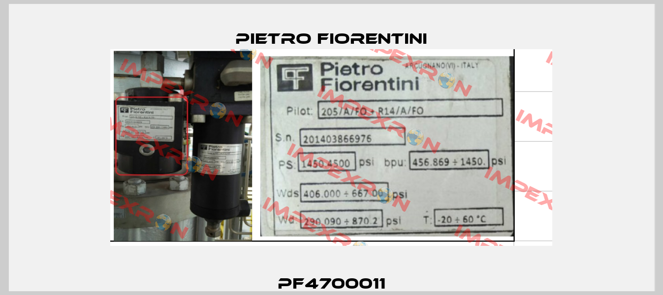 PF4700011 Pietro Fiorentini