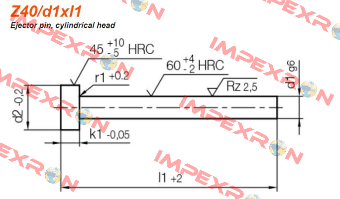 Z40/1,5x100 Hasco