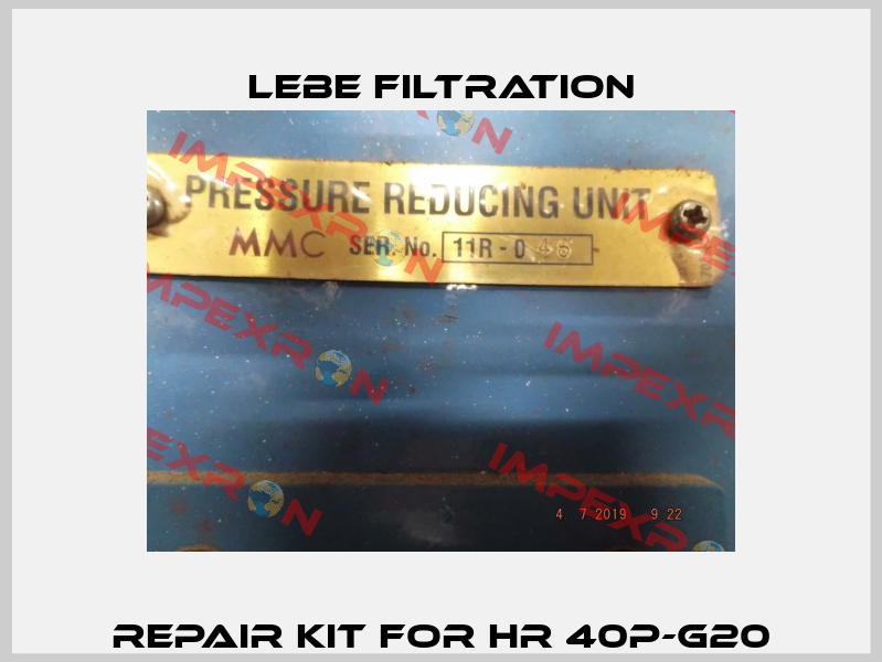 REPAIR KIT FOR HR 40P-G20 Lebe Filtration