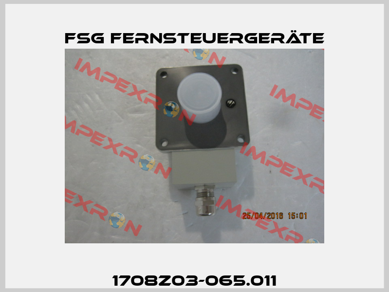 1708Z03-065.011 FSG Fernsteuergeräte
