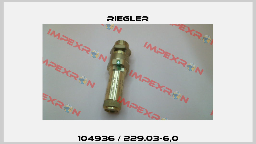 104936 / 229.03-6,0 Riegler